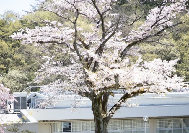 沿革