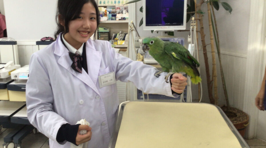 すずき動物病院