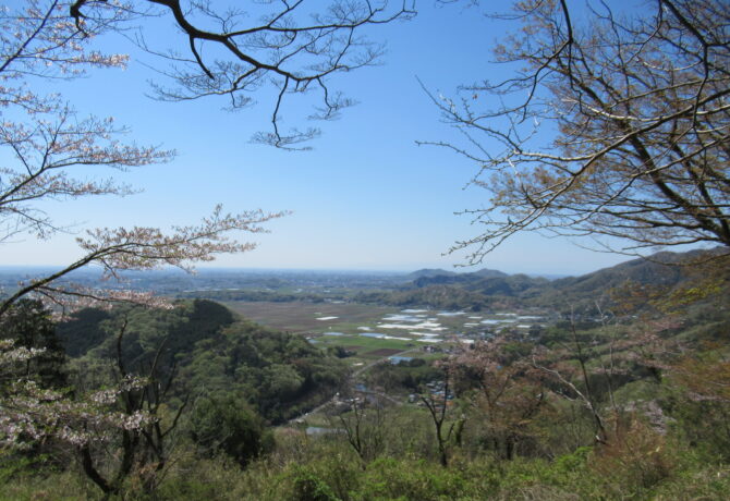 １年太平山神社参拝